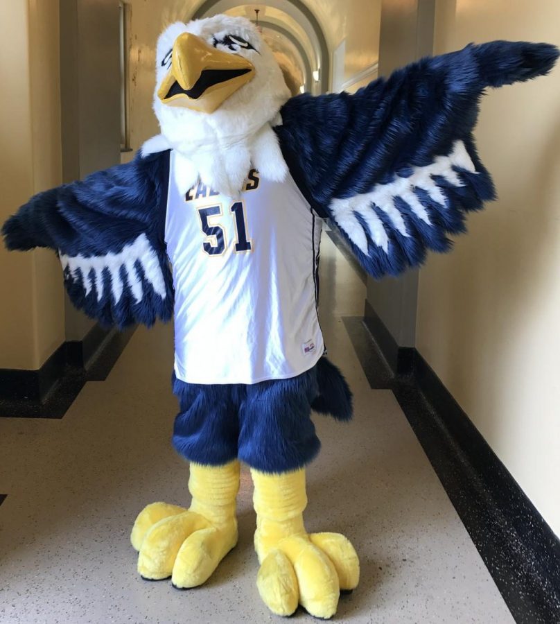 Copy of Eagle Mascot 3