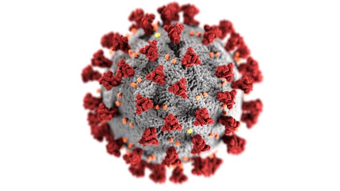 An illustration, created by the Centers for Disease Control and Prevention (CDC), shows the structure of coronaviruses. The illness caused by this virus has been named coronavirus disease 2019 (COVID-19), the CDC said.