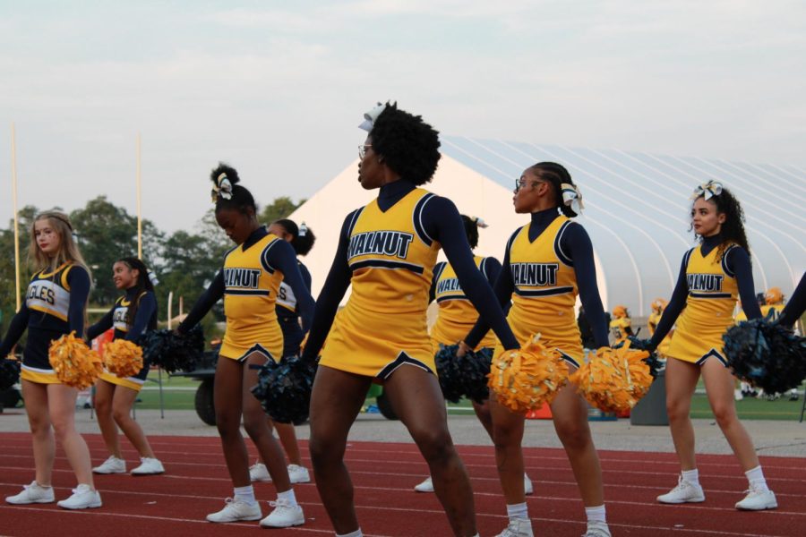 The cheerleaders always bring their energy and smiles whenever they are cheering on the teams.