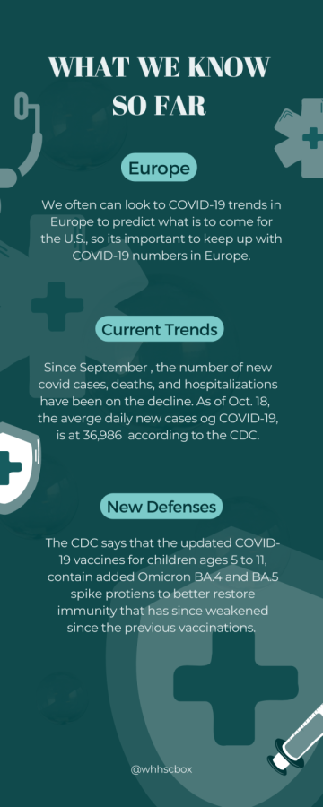 Although the number of new COVID cases, deaths and hospitalizations have been decreasing since September, some scientists believe a winter wave is likely.  