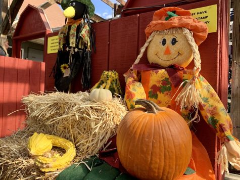  Leading up to Halloween, Burger Farm and Garden Center is hosting a fall festival each weekend, with plenty of spooky fall activities and attractions for everyone to enjoy. They also have pumpkin patch filled with pumpkins for pie making, jack-o’-latern carving, and plenty of other pumpkin activities for Halloween fun. 