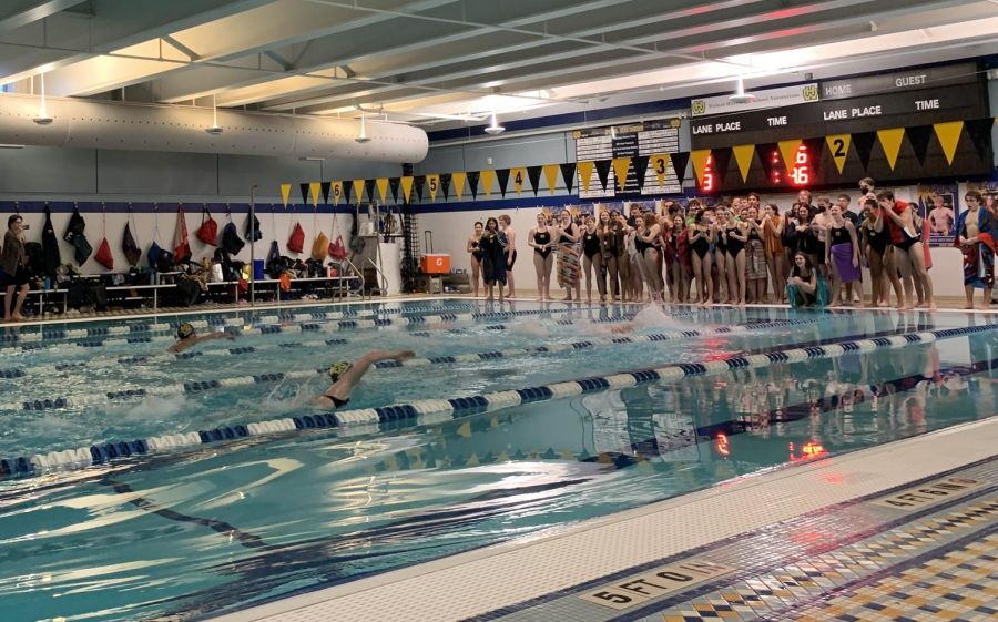 The WHHS swim team cheer their teammates on during the SENIOR relay that took place on SENIOR night.