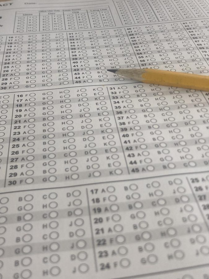 A photo of a testing bubble sheet and a pencil.