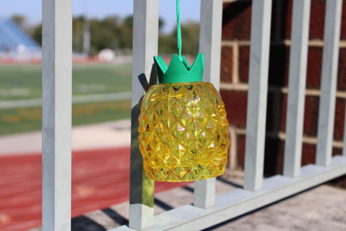 Custodians have placed numerous pineapple shaped wasp traps and sprayed bee killer across campus in attempts to lighten the insect problem.