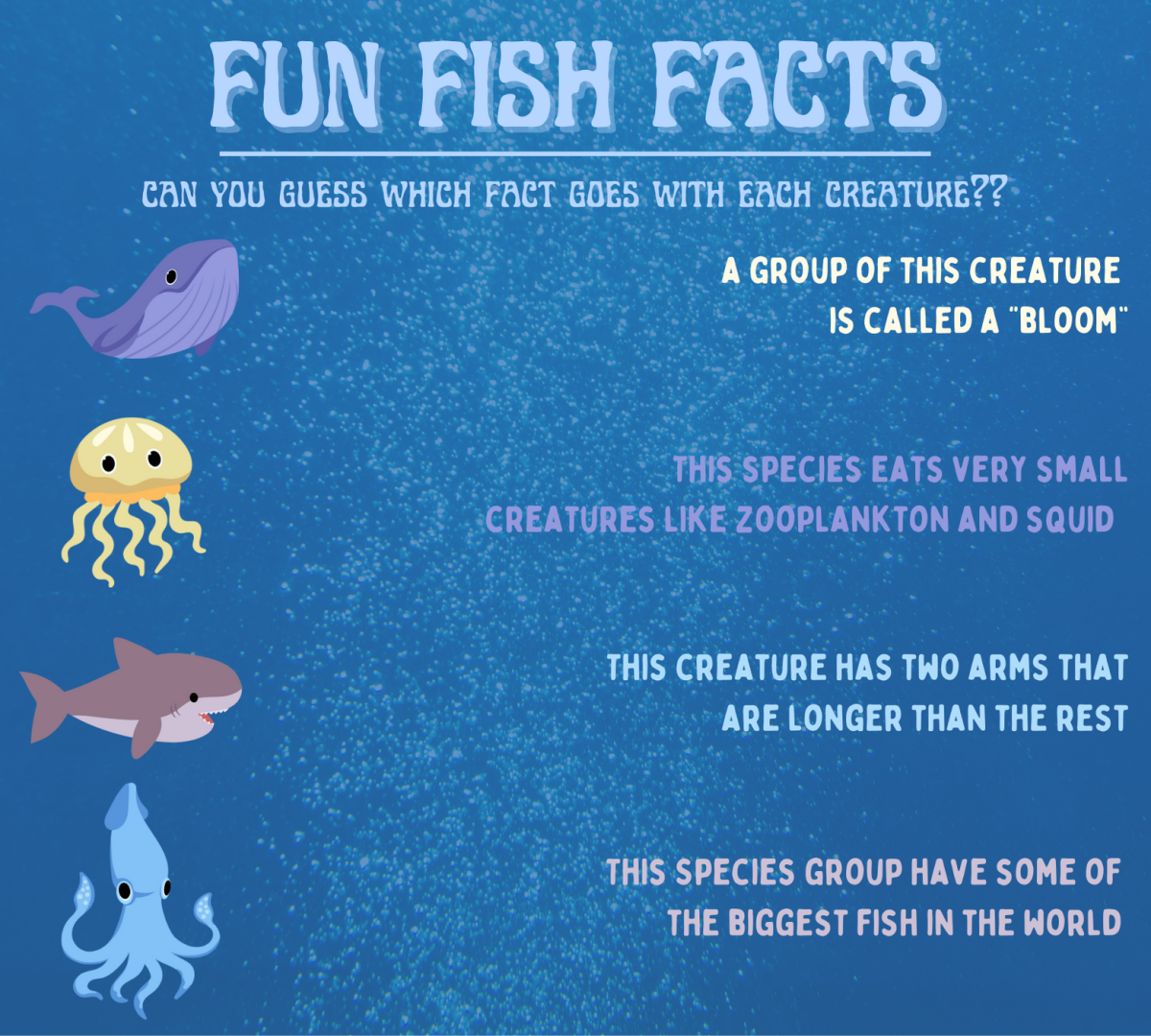 Fun+fish+facts
