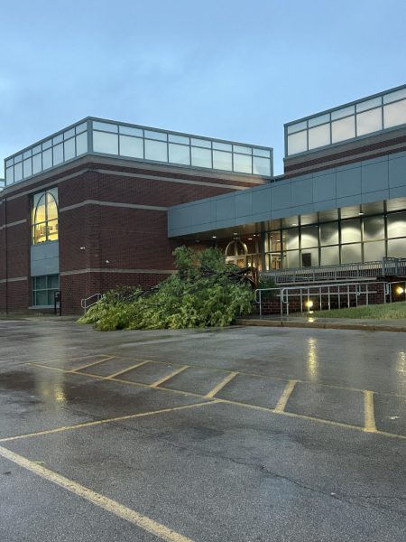 After aggressive rainfall and winds, the beloved tree outside of the Sr. high gym came crashing down. “I'm really sad the tree fell, I feel like it was really bringing our culture together,” Greta Quellhorst, ‘28, said.