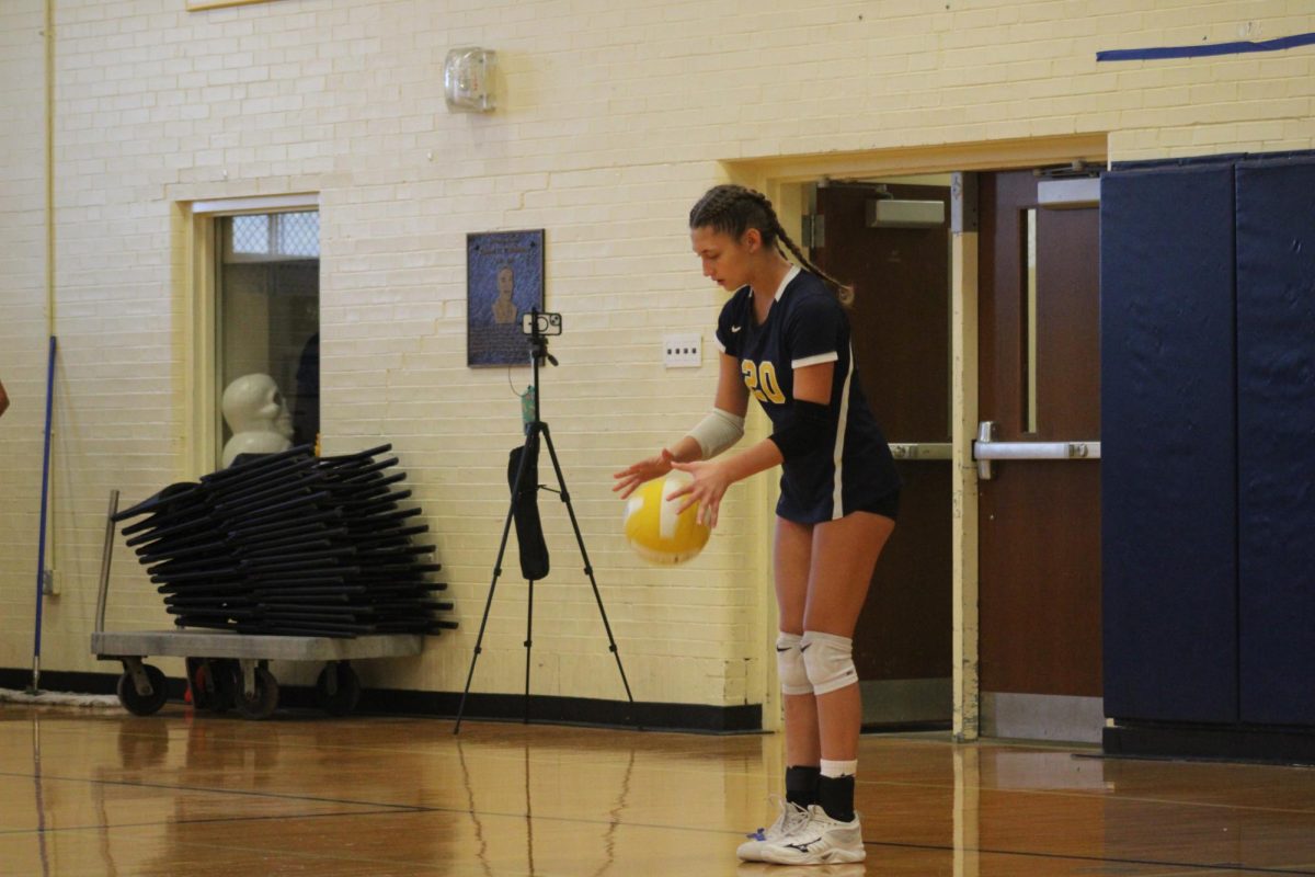 Volleyball photo