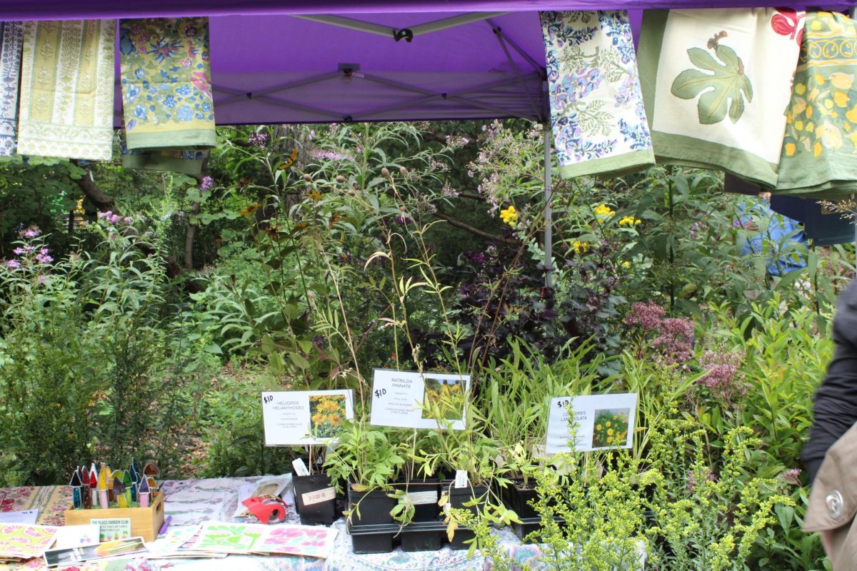 Bio-Eco Club recently attended the 2025 Native Plant Festival hosted by the Civic Garden Center. Members used this chance to showcase WHHS’s native wildlife, promote plant conservation and make money for more conservation efforts. “We'd really like to put a wetland in the woods,” Ava Bley, ‘27, vice president, said. "There's a company that constructs native wetlands so that we would be able to bring amphibians to our woods and kind of catch some of that stream runoff as well.”
