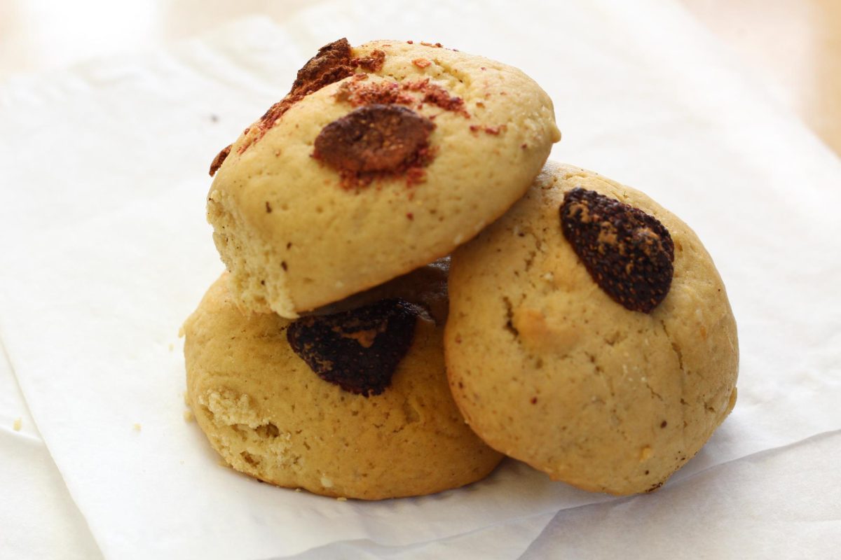 "If it turns out more like a biscuit than a cookie ignore it," Makenzie Ellison said. 