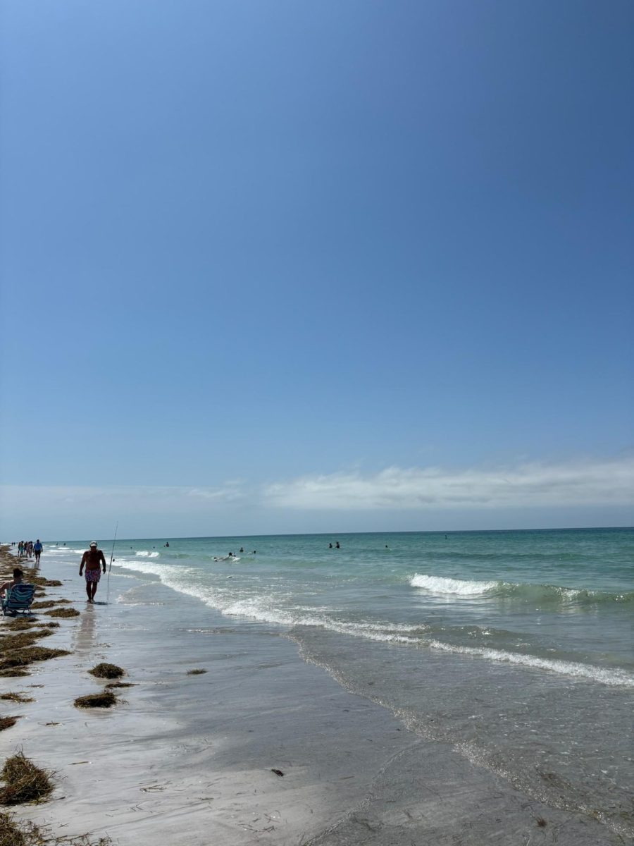 The crystal blue waters of Clearwater, Fl., shimmer under the gulf sunlight. Florida is a common destination for both international and domestic travellers.